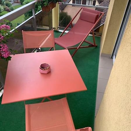 Charmant Appartement 2 Pieces Mundolsheim Zewnętrze zdjęcie