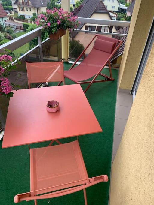 Charmant Appartement 2 Pieces Mundolsheim Zewnętrze zdjęcie
