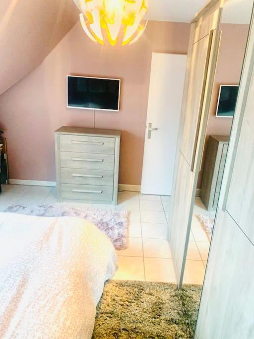 Charmant Appartement 2 Pieces Mundolsheim Zewnętrze zdjęcie